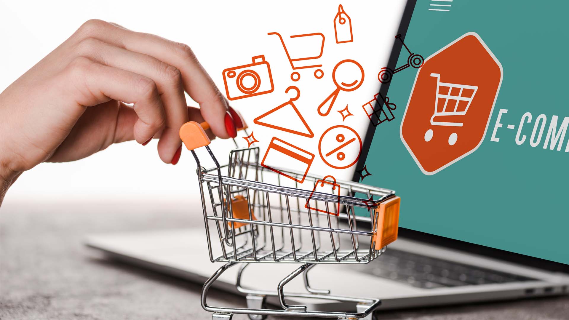 Renatoo // Design & Technology - Onlineshops - E-Commerce